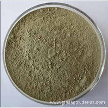 Concentrated tartary buckwheat seedling powder